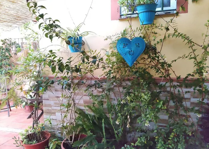 Cool Garden&Suite