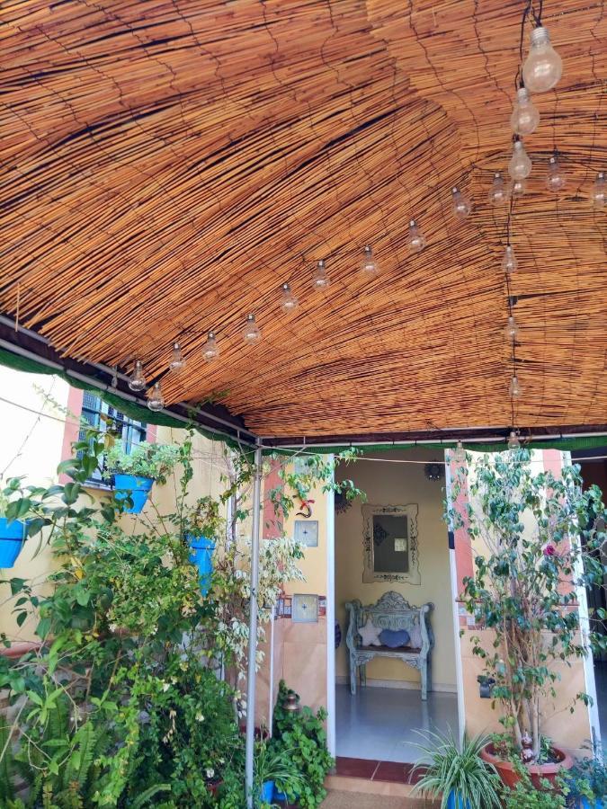 Cool Garden&suite