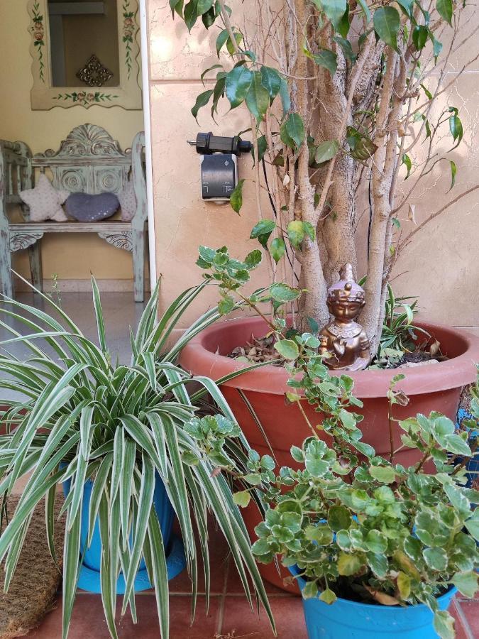Cool Garden&suite * Mairena del Aljarafe