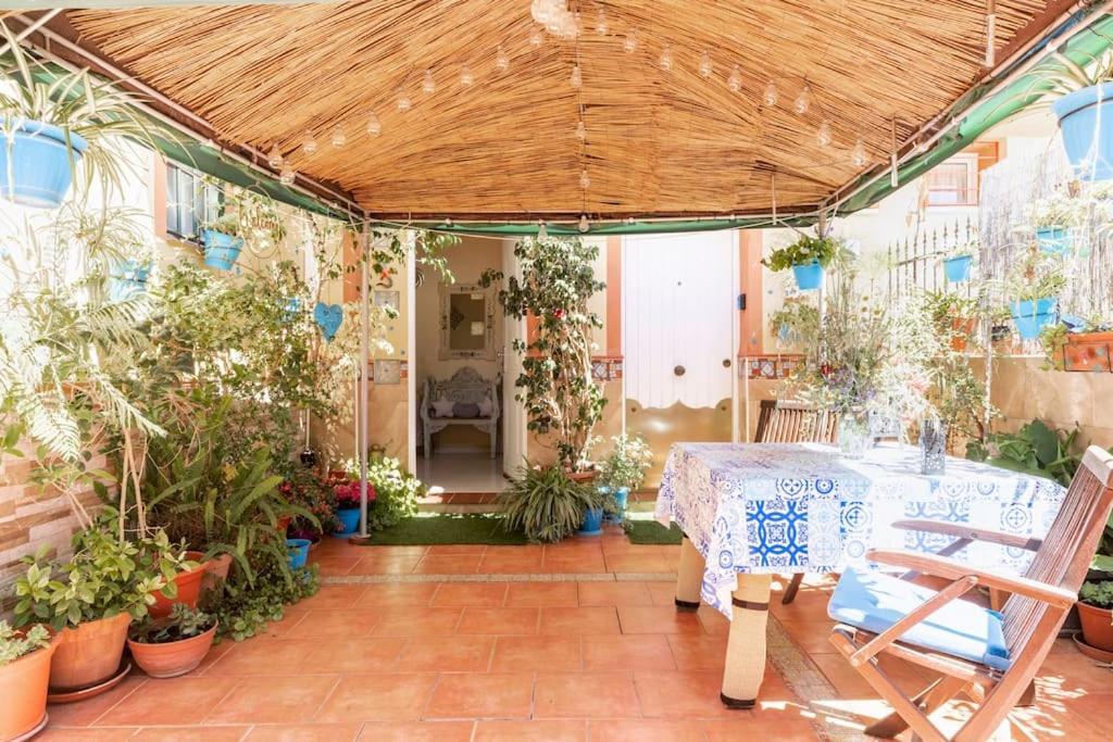 Cool Garden&suite *