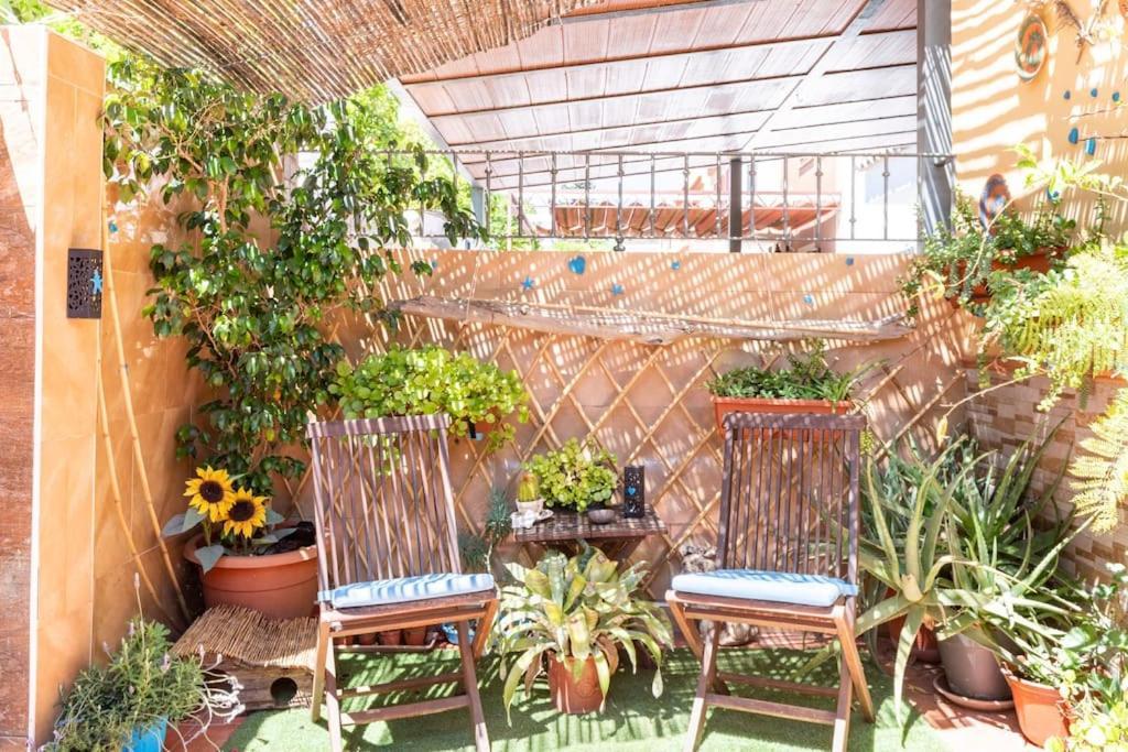 Cool Garden&suite Mairena del Aljarafe