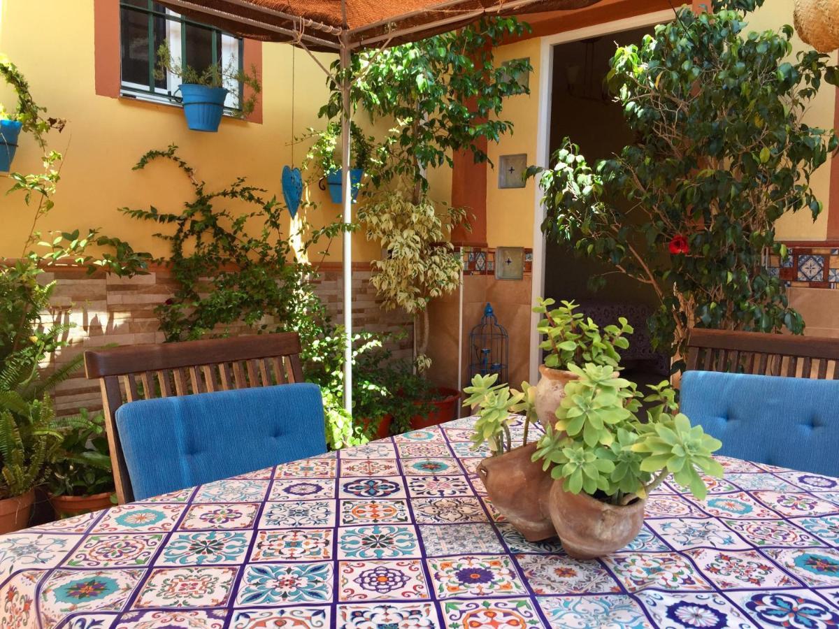 Cool Garden And Allotjament en família *