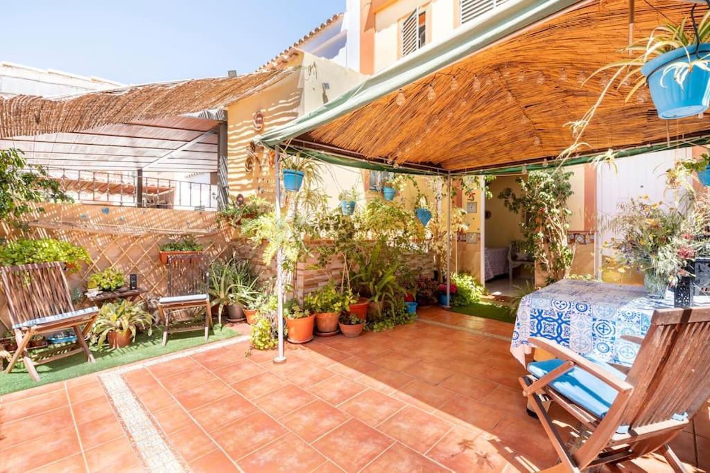 Allotjament en família Cool Garden And